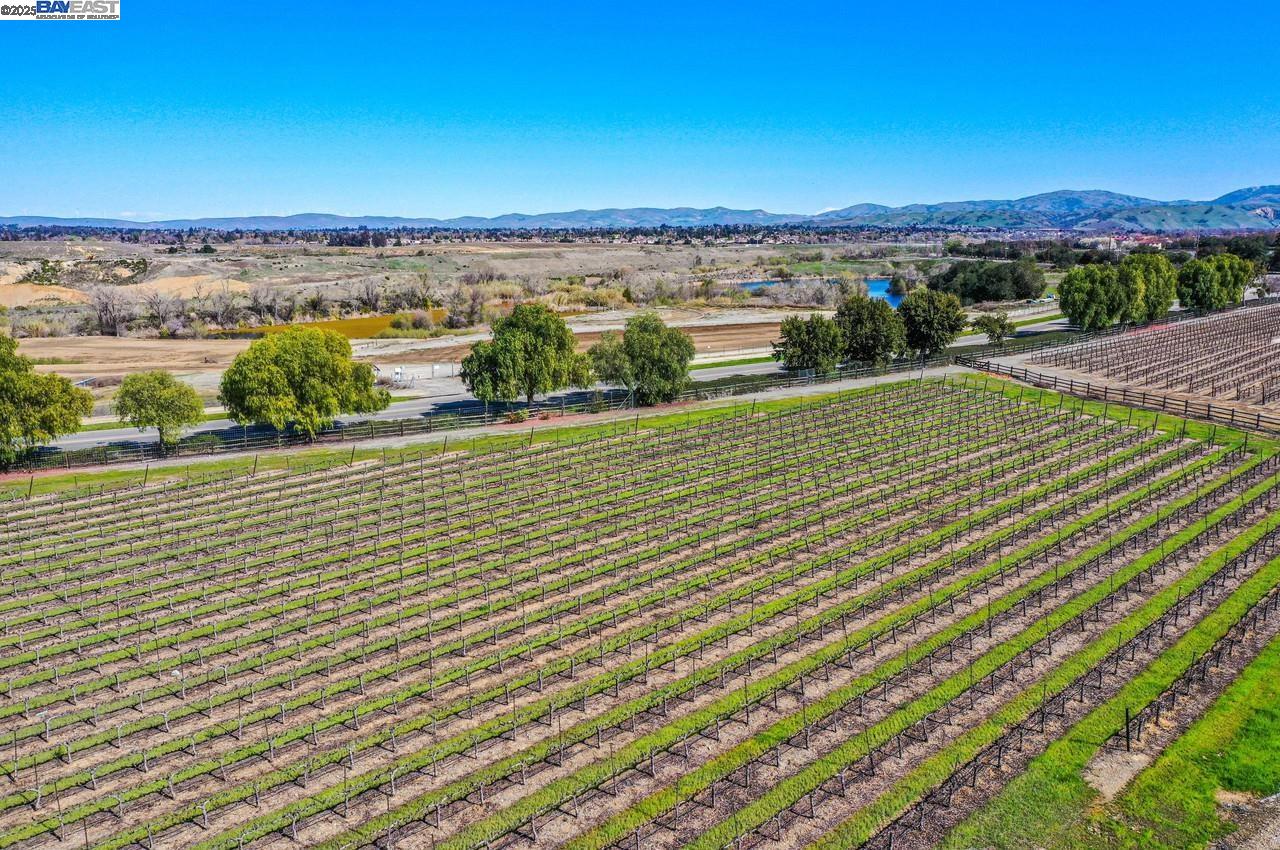 942 Finovino Ct