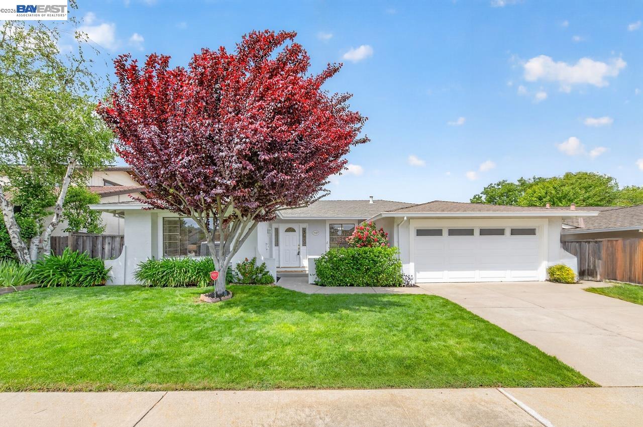 7449 Muirwood Ct