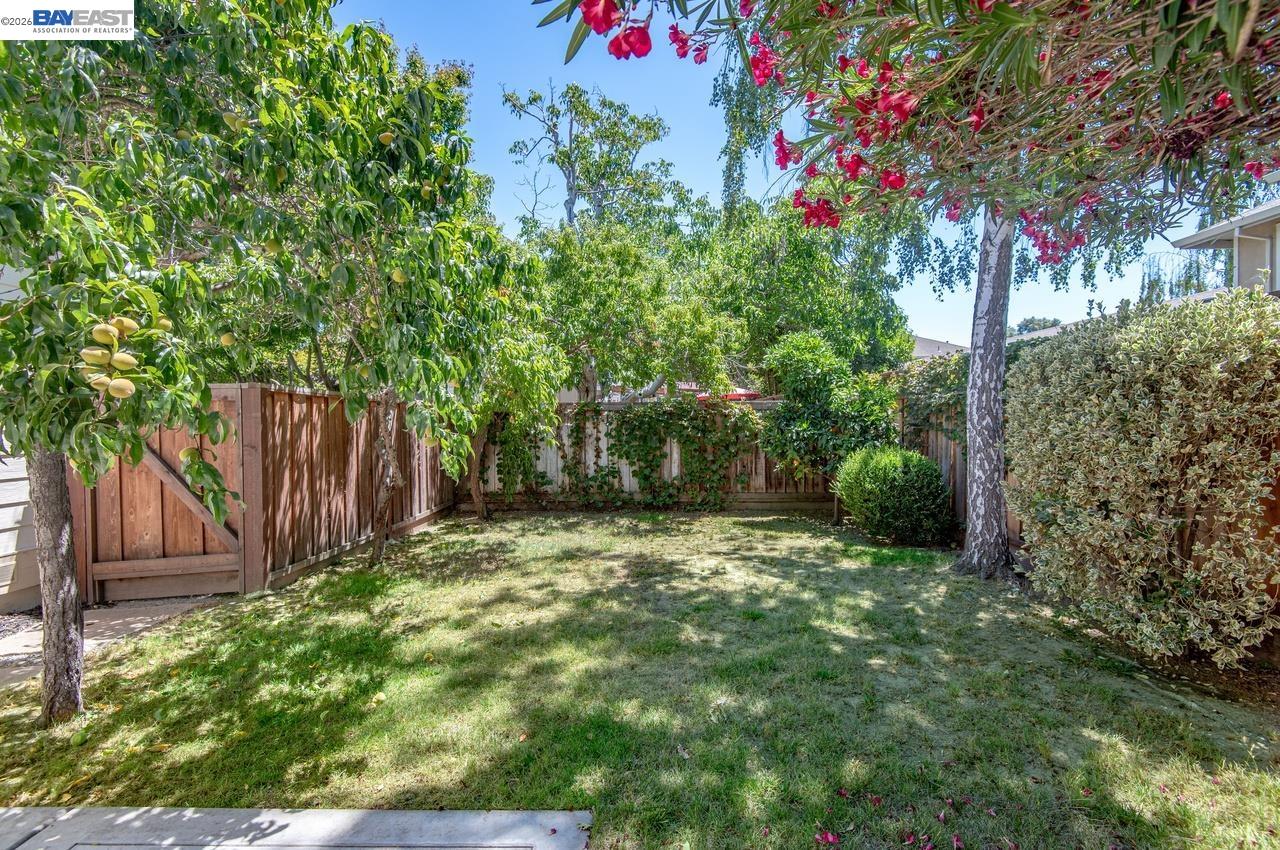 282 Del Valle Ct