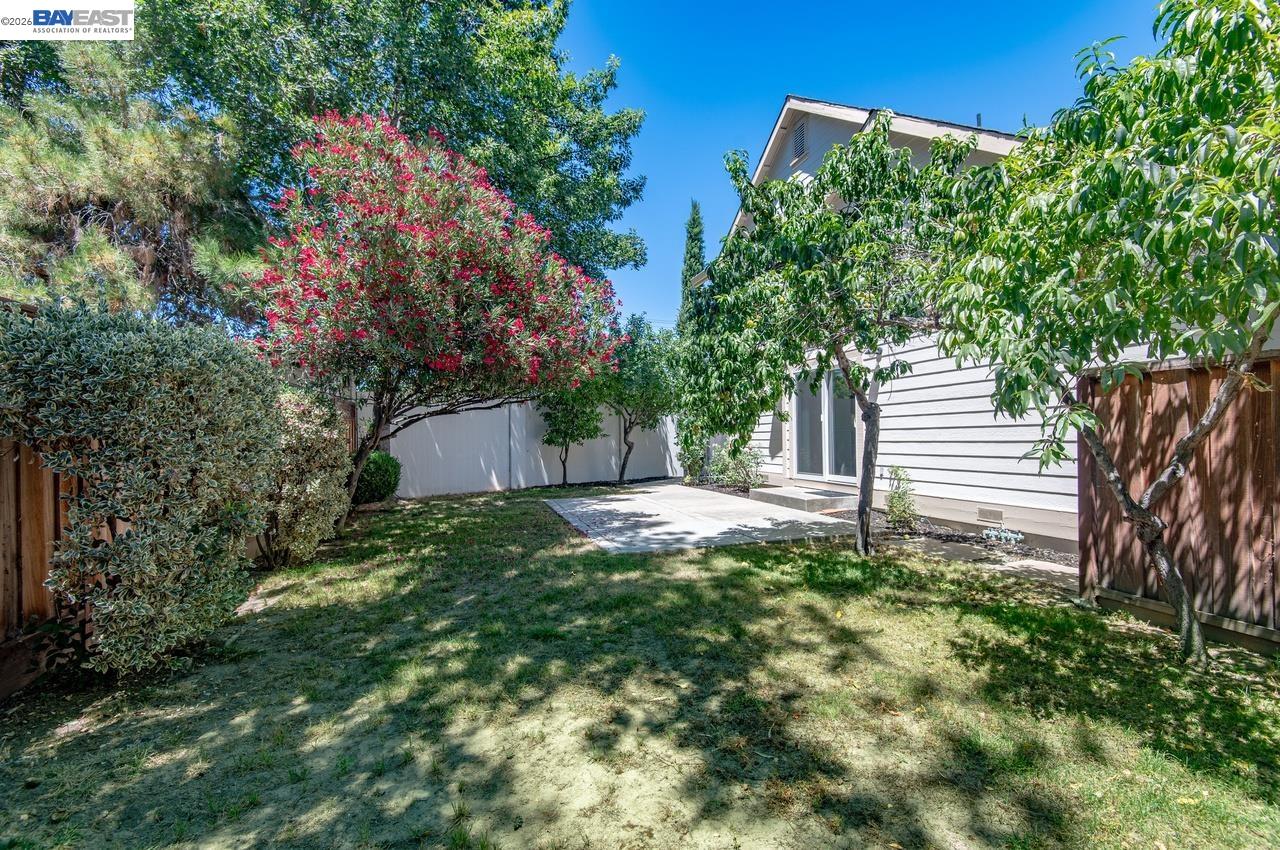282 Del Valle Ct