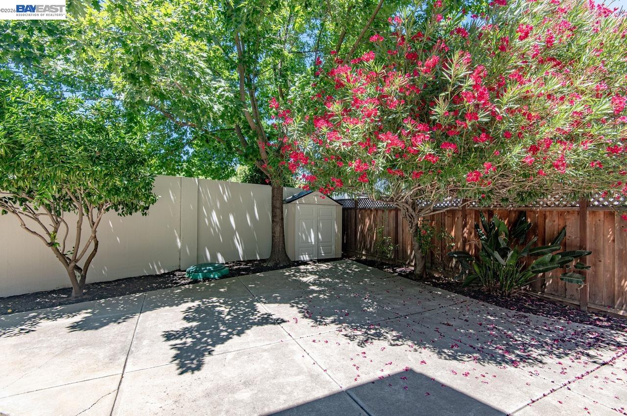 282 Del Valle Ct