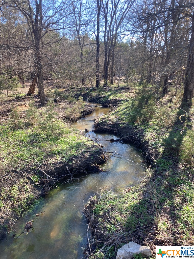 437 County Road 3384
