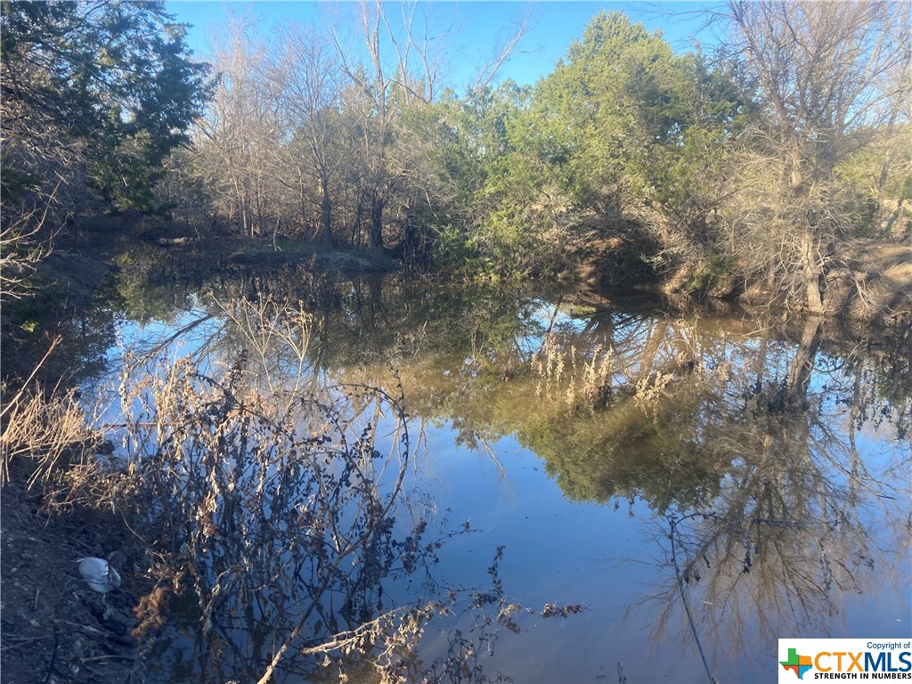 437 County Road 3384