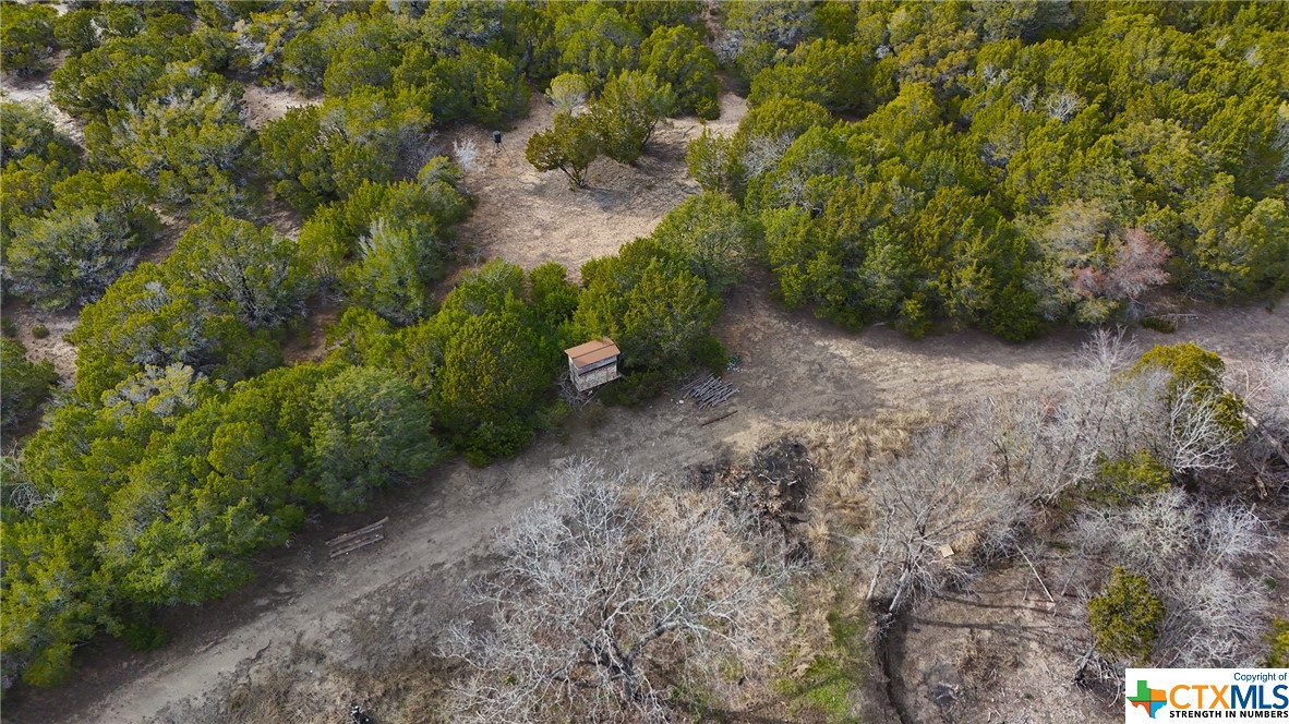 437 County Road 3384