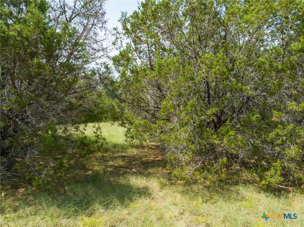 CR 434 FM 1241