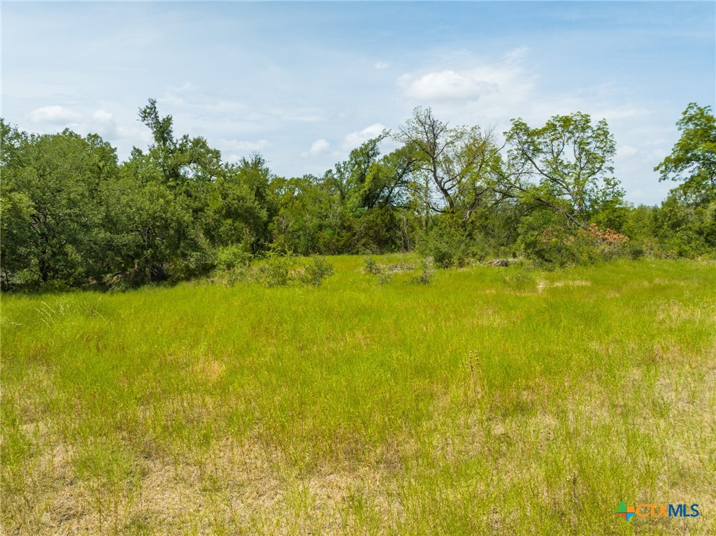 CR 434 FM 1241