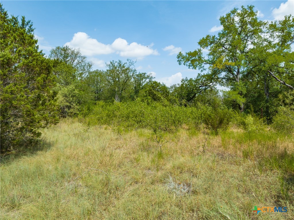 CR 434 FM 1241