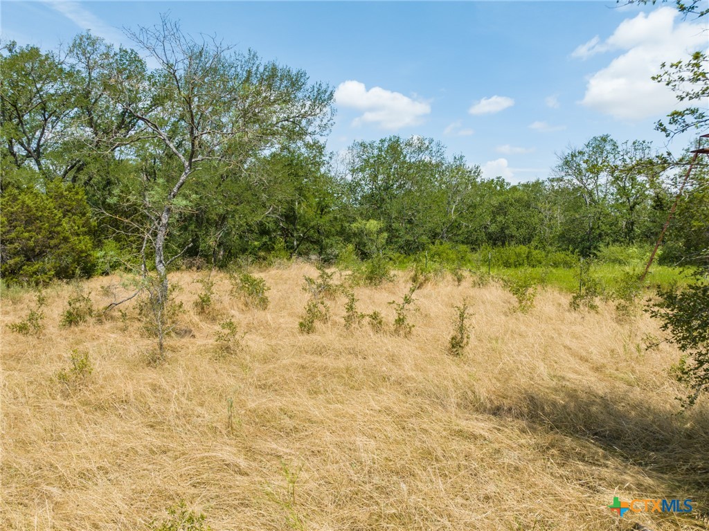 CR 434 FM 1241