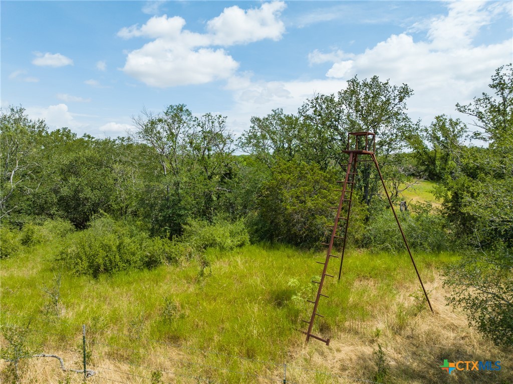 CR 434 FM 1241