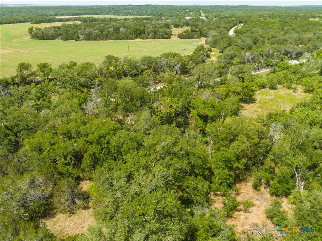 CR 434 FM 1241
