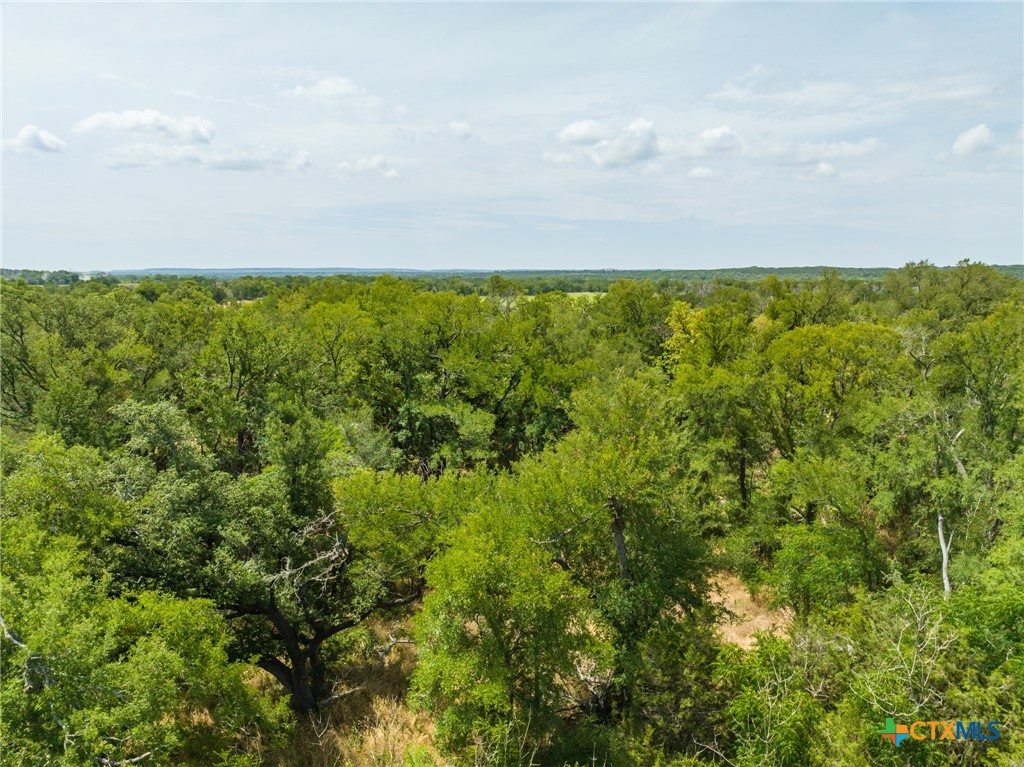 CR 434 FM 1241