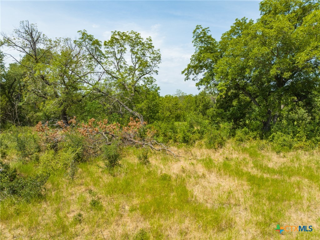 CR 434 FM 1241