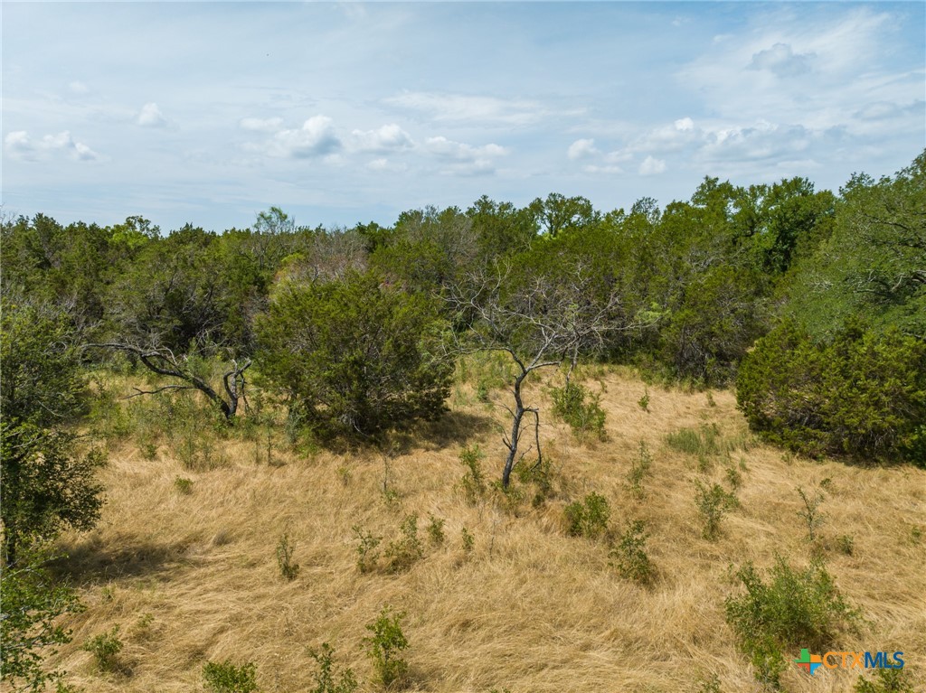 CR 434 FM 1241