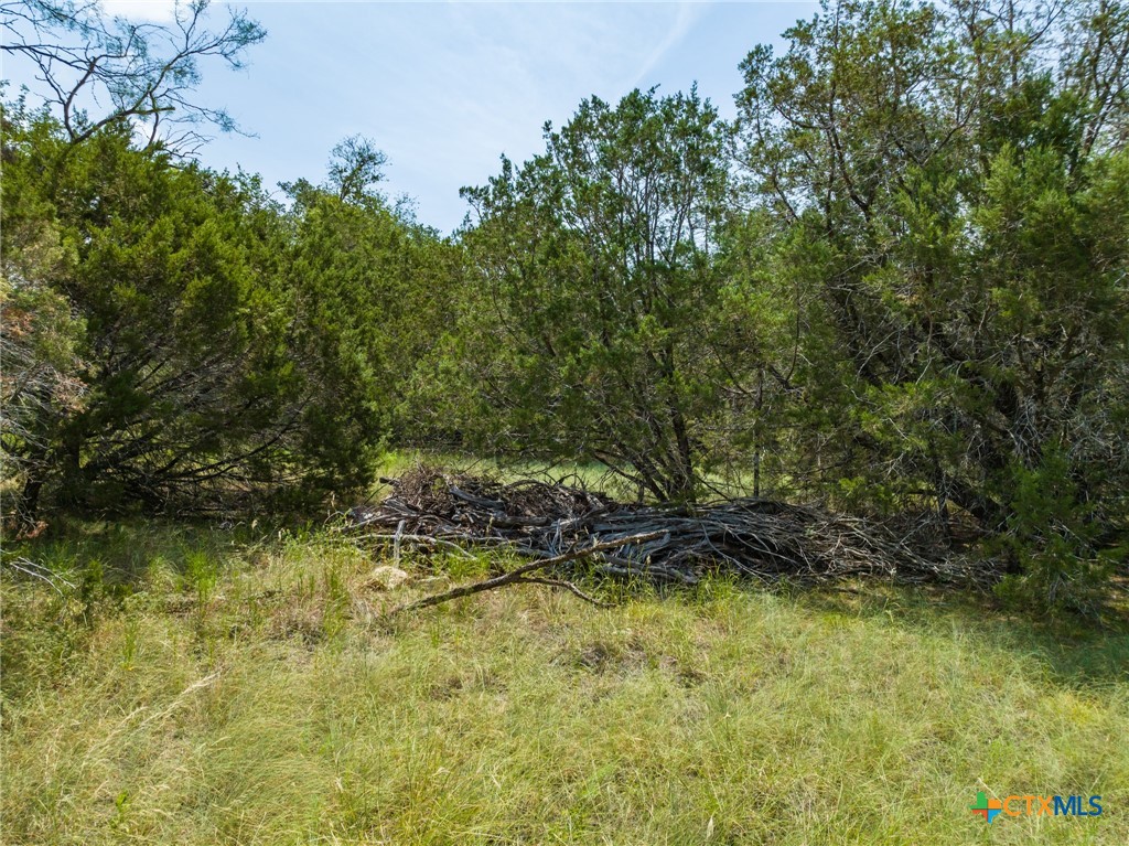CR 434 FM 1241