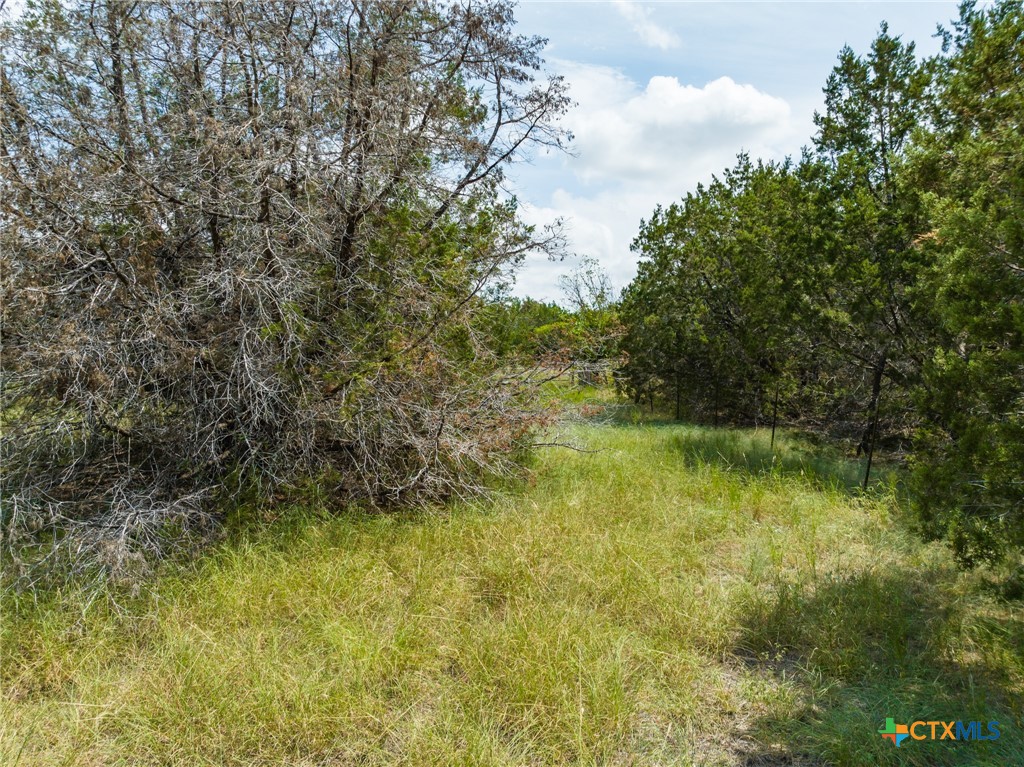 CR 434 FM 1241