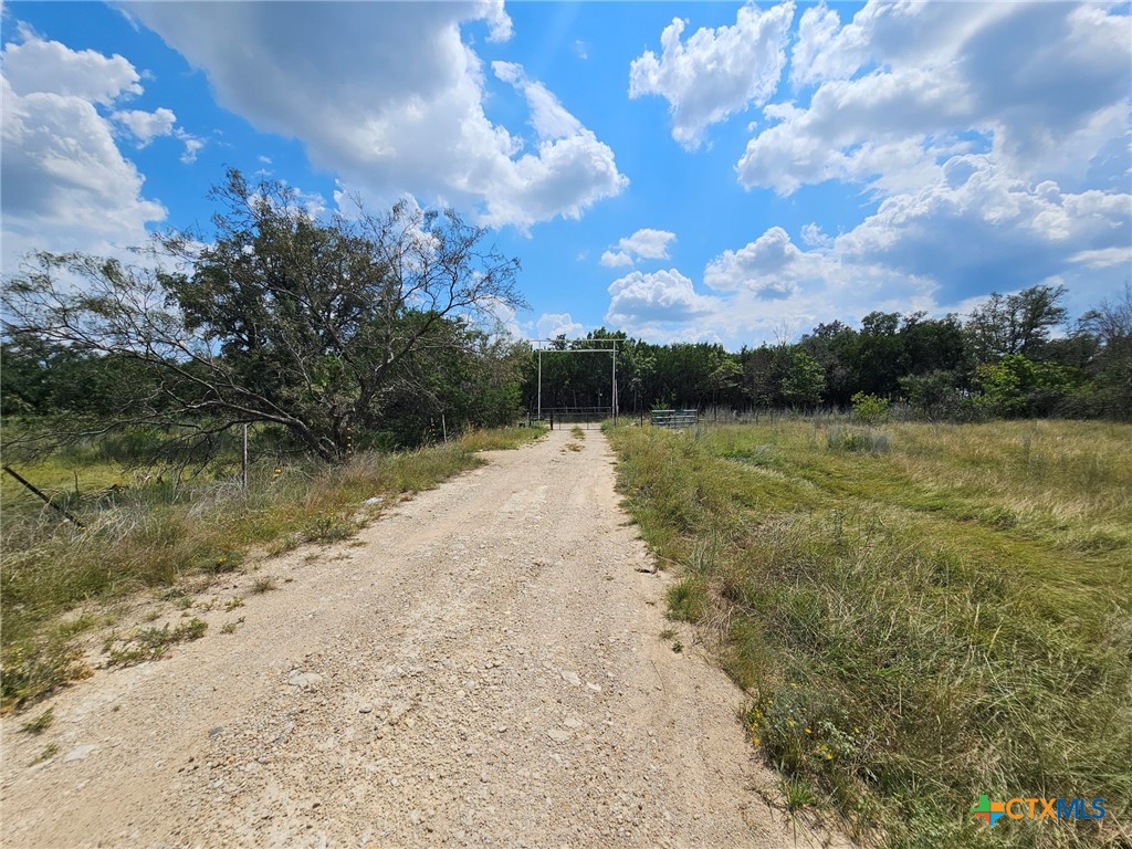 3101 N FM 116