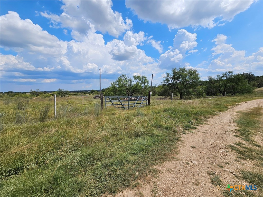 3101 N FM 116