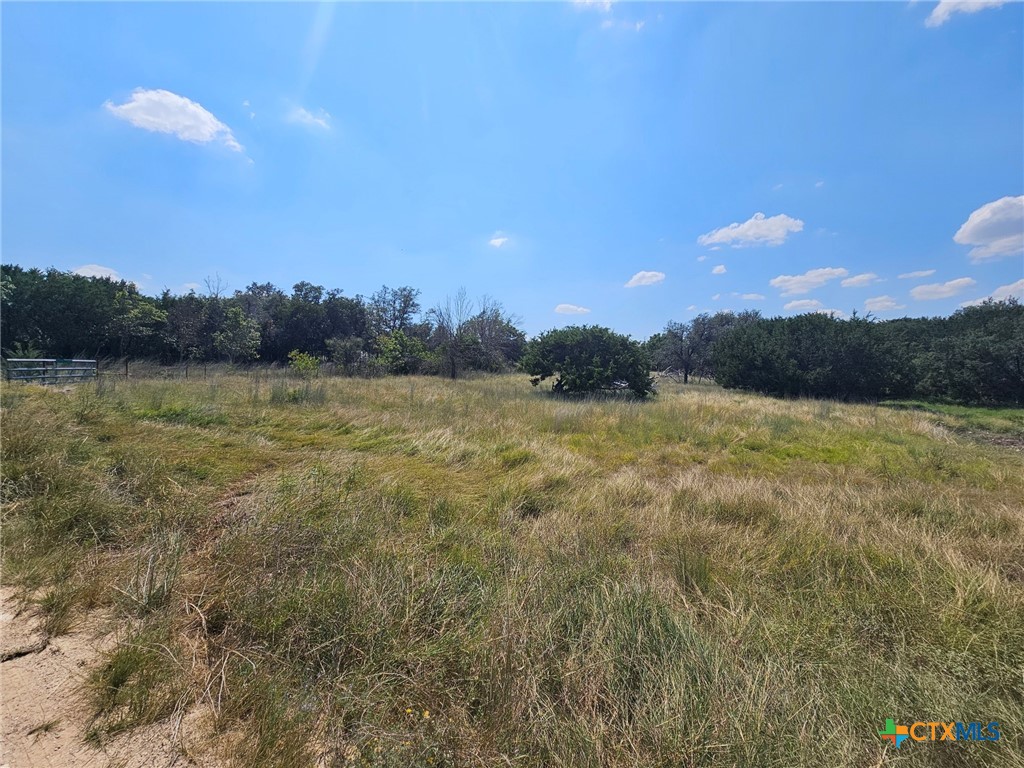3101 N FM 116