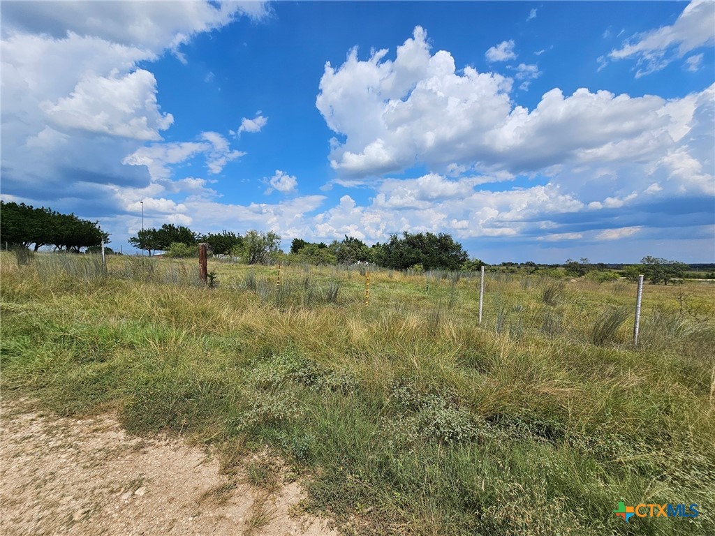 3101 N FM 116