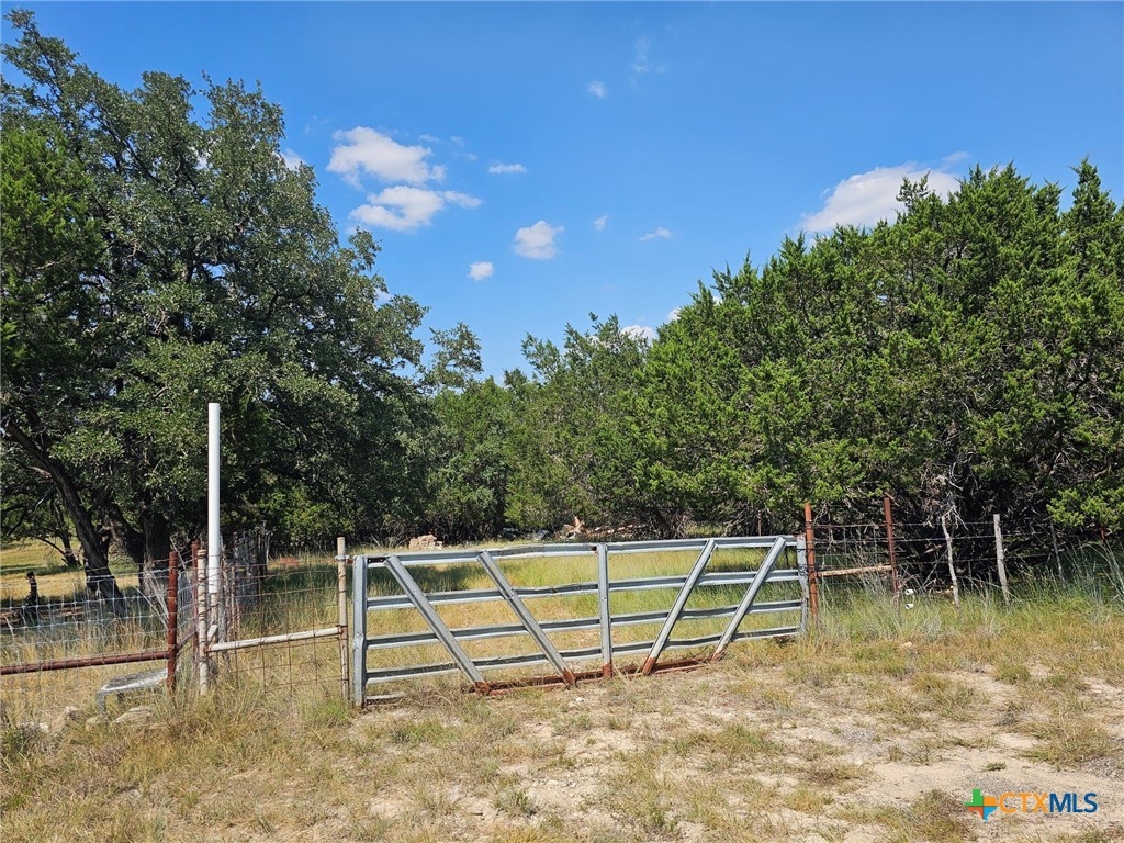 3101 N FM 116