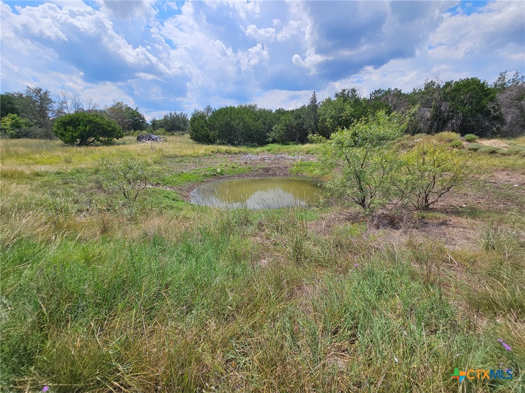 3101 N FM 116