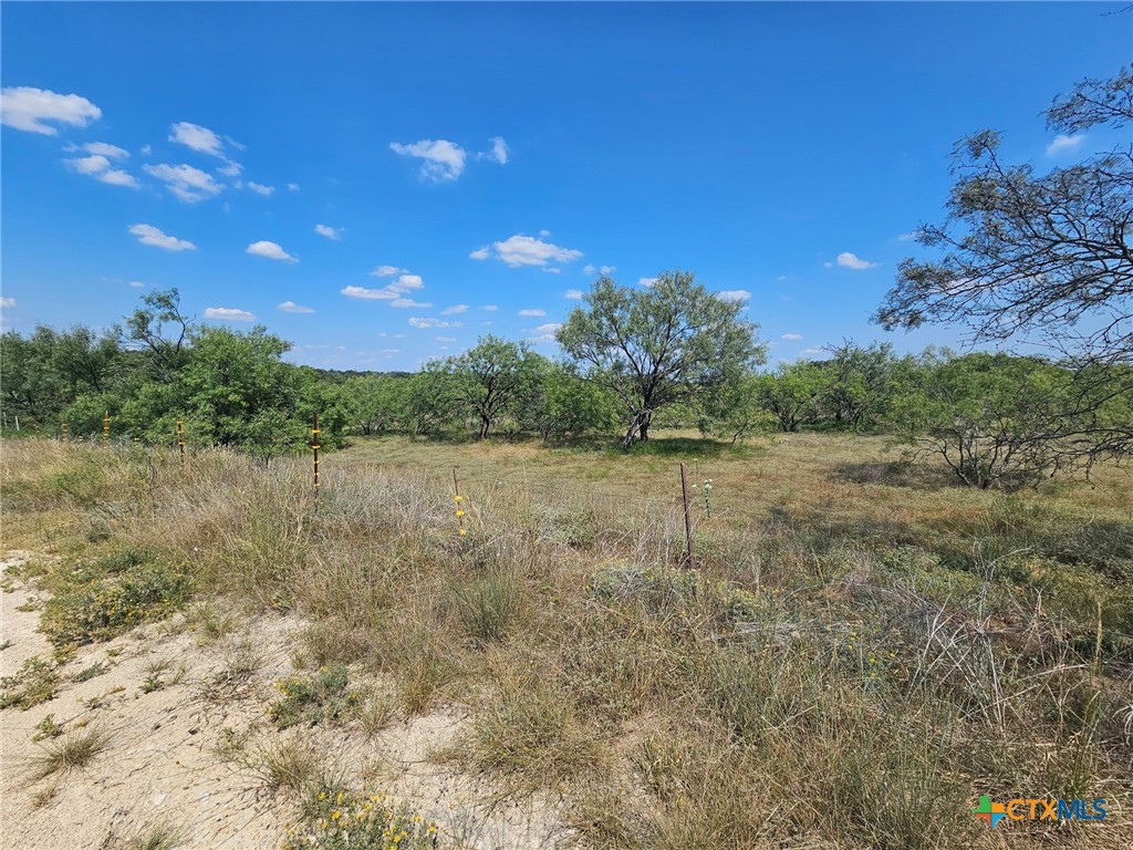 3101 N FM 116