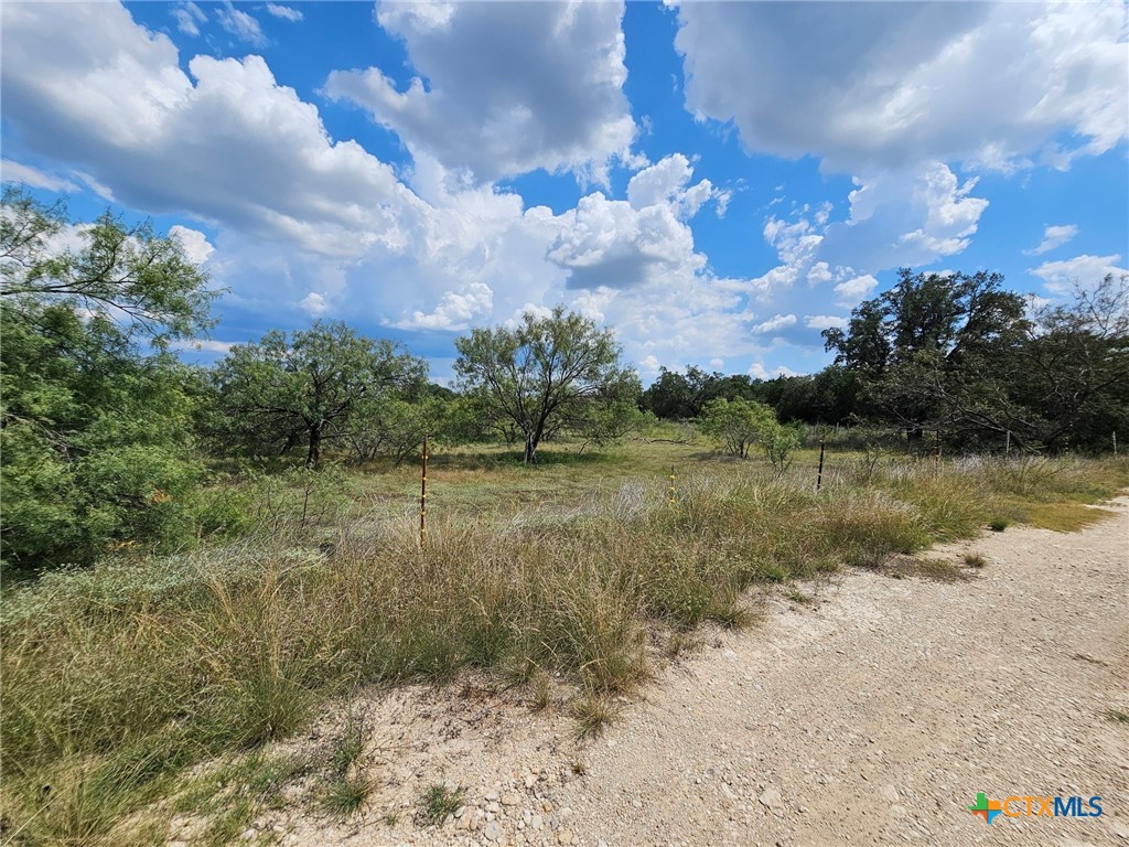 3101 N FM 116