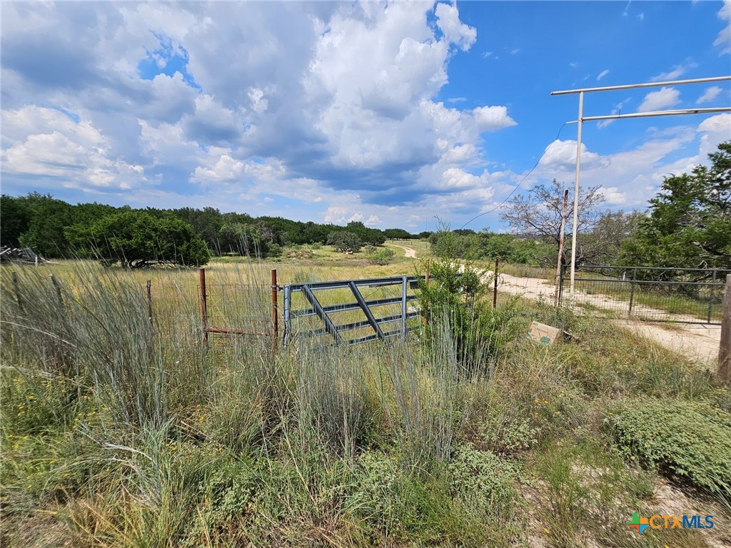 3101 N FM 116