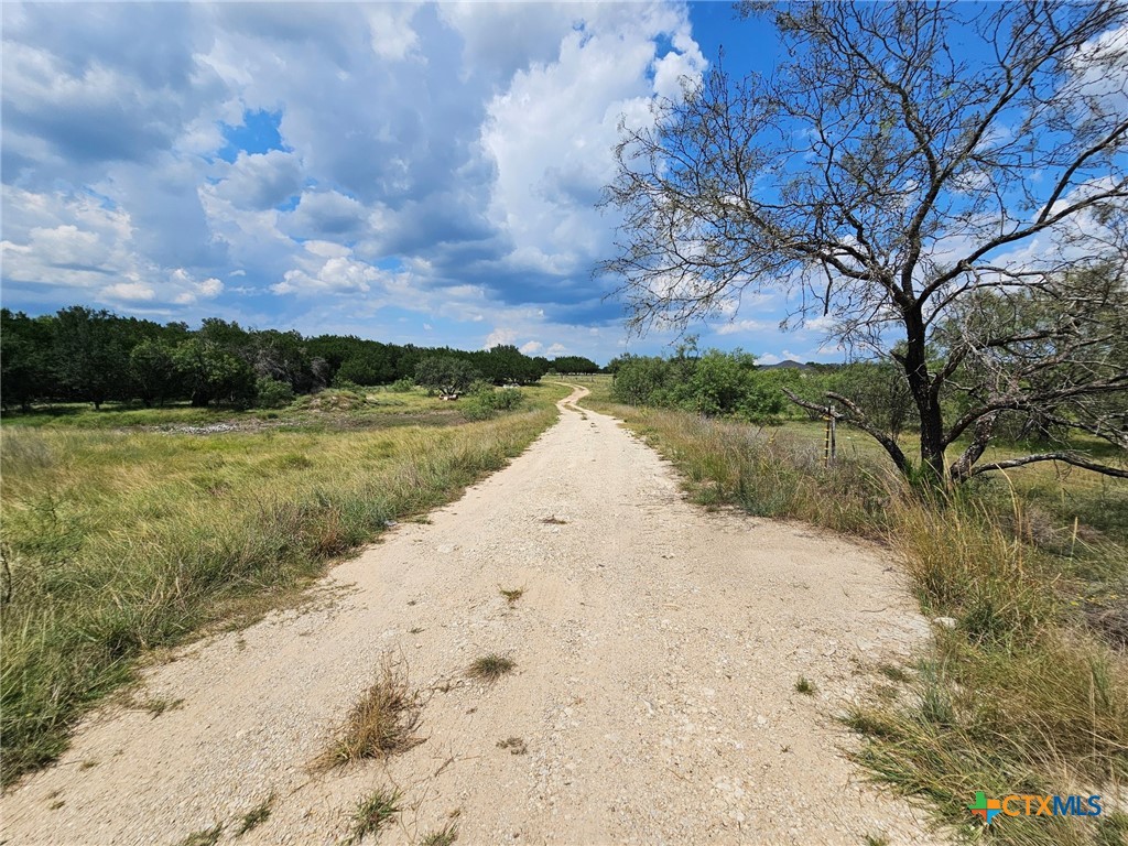 3101 N FM 116