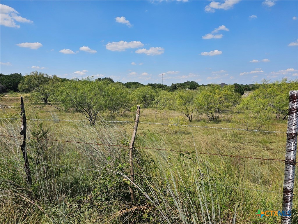 3101 N FM 116