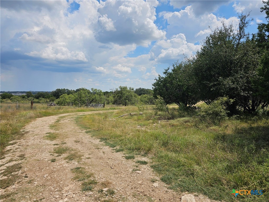 3101 N FM 116