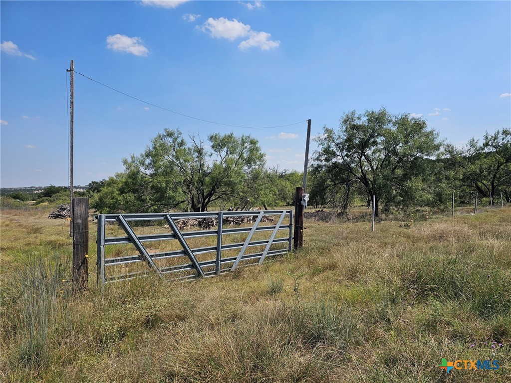 3101 N FM 116