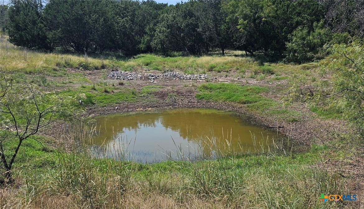 3101 N FM 116