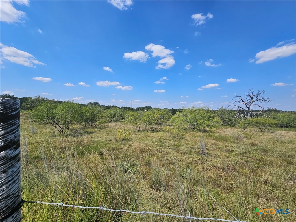 3101 N FM 116