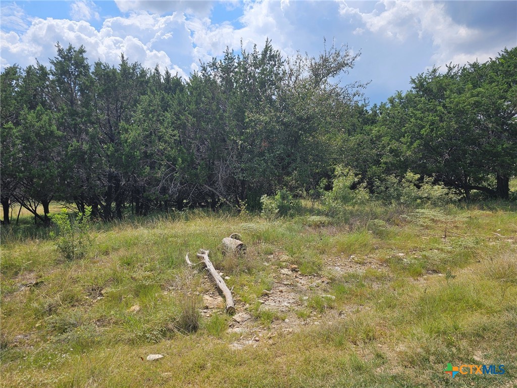 3101 N FM 116