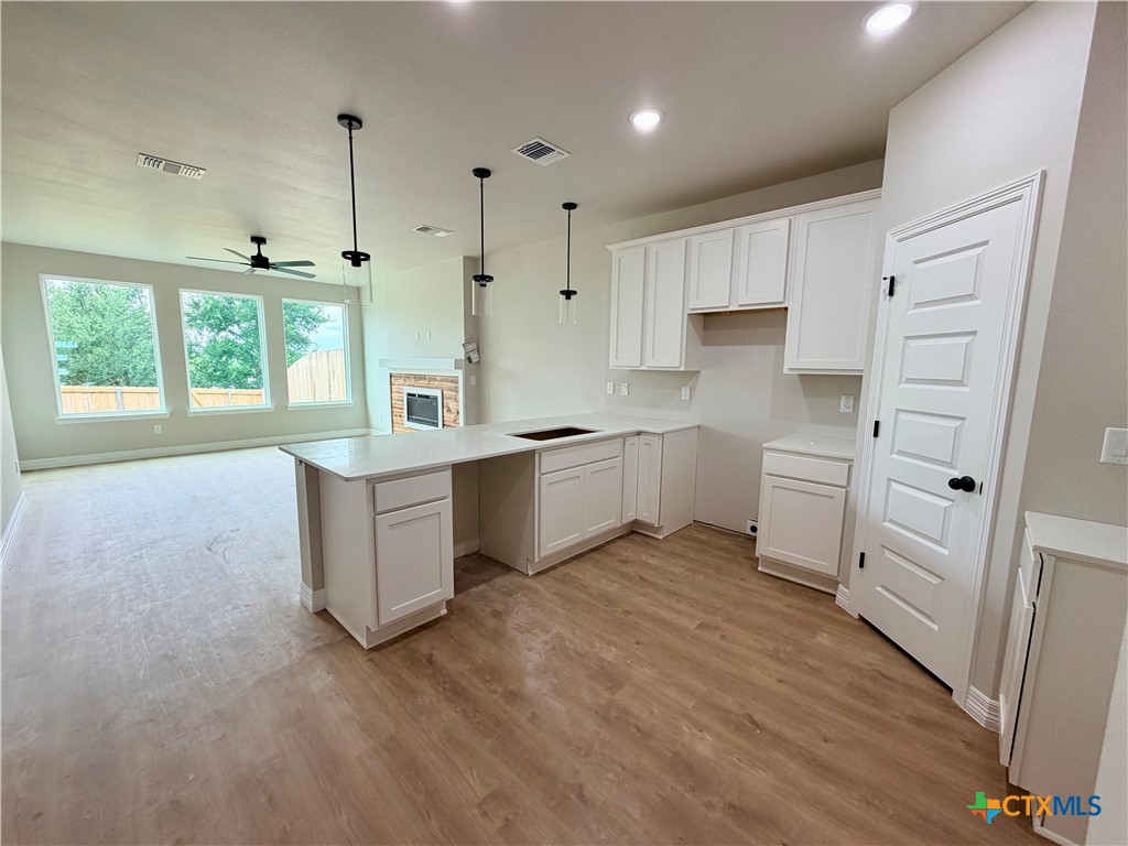 1309 Lone Pine Way