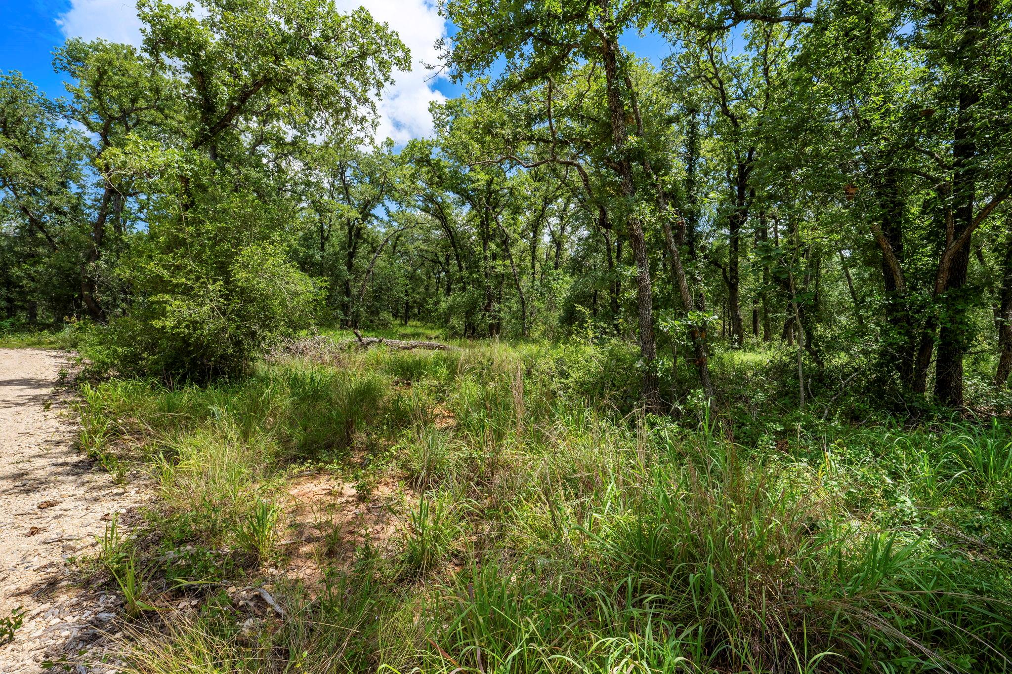 868 County Road 405