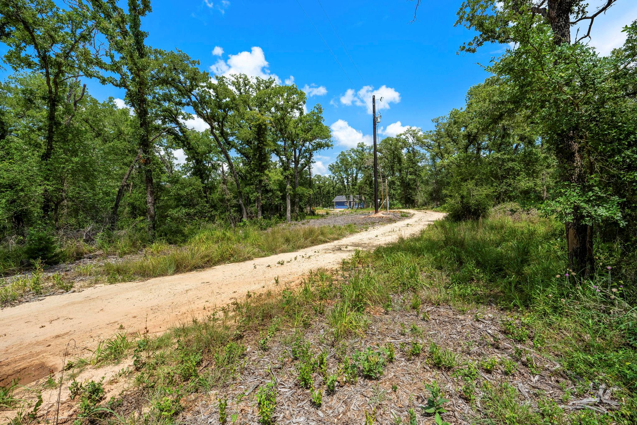 868 County Road 405