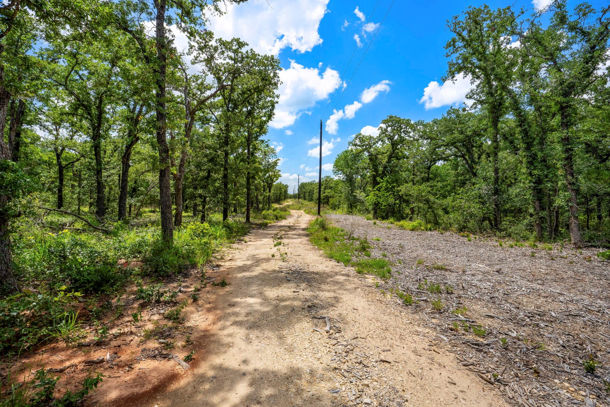 868 County Road 405
