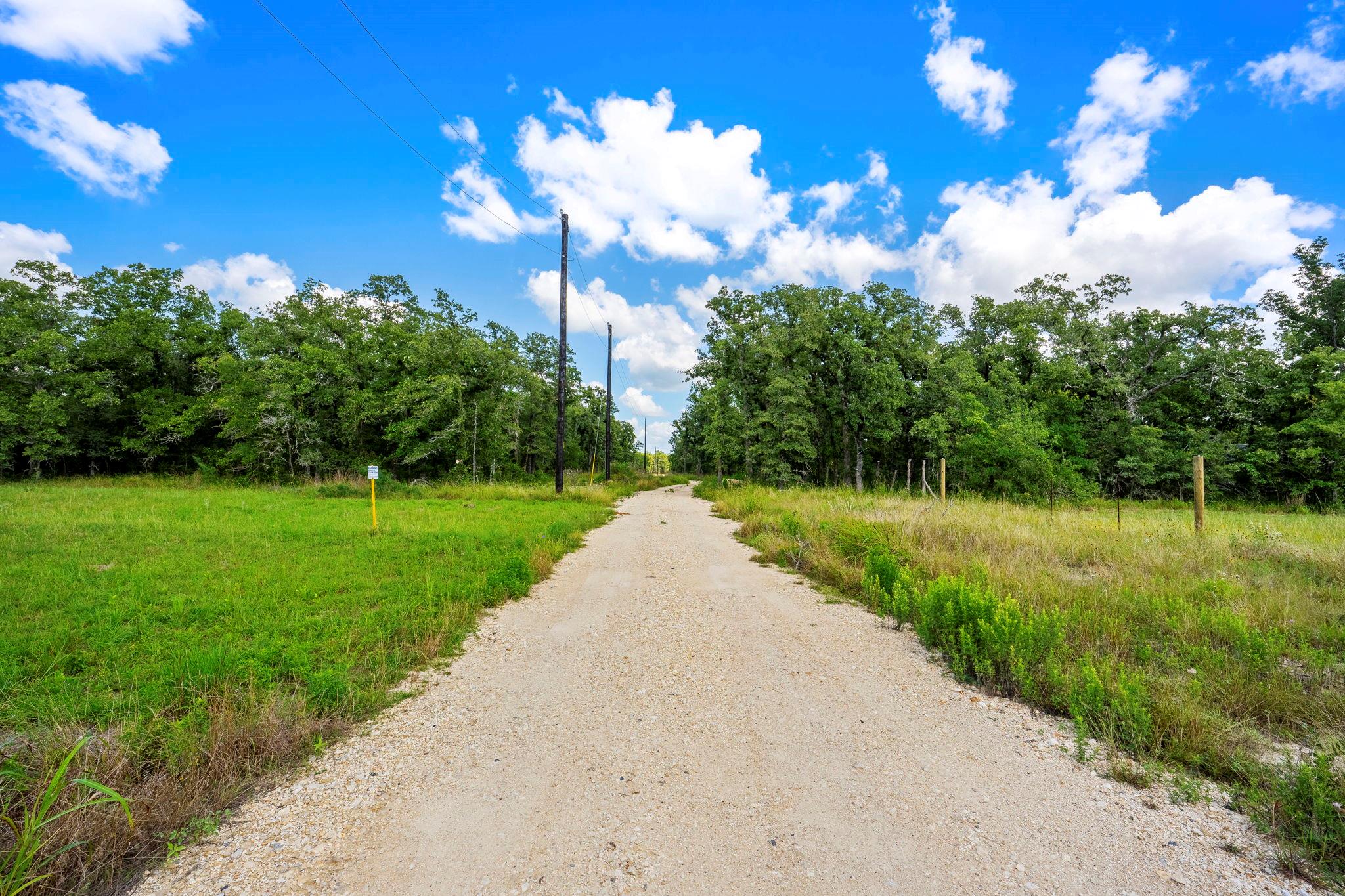 868 County Road 405