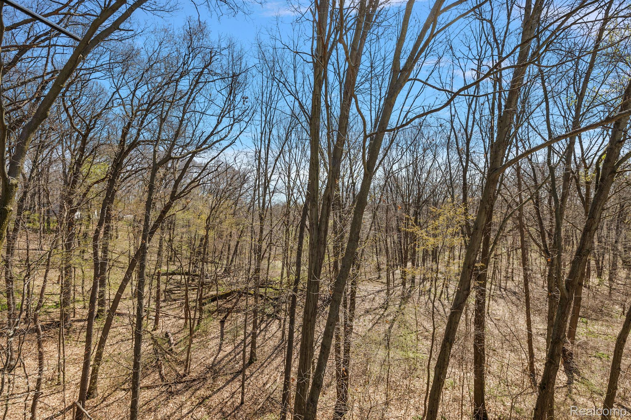 2480 Canyon Ridge Drive