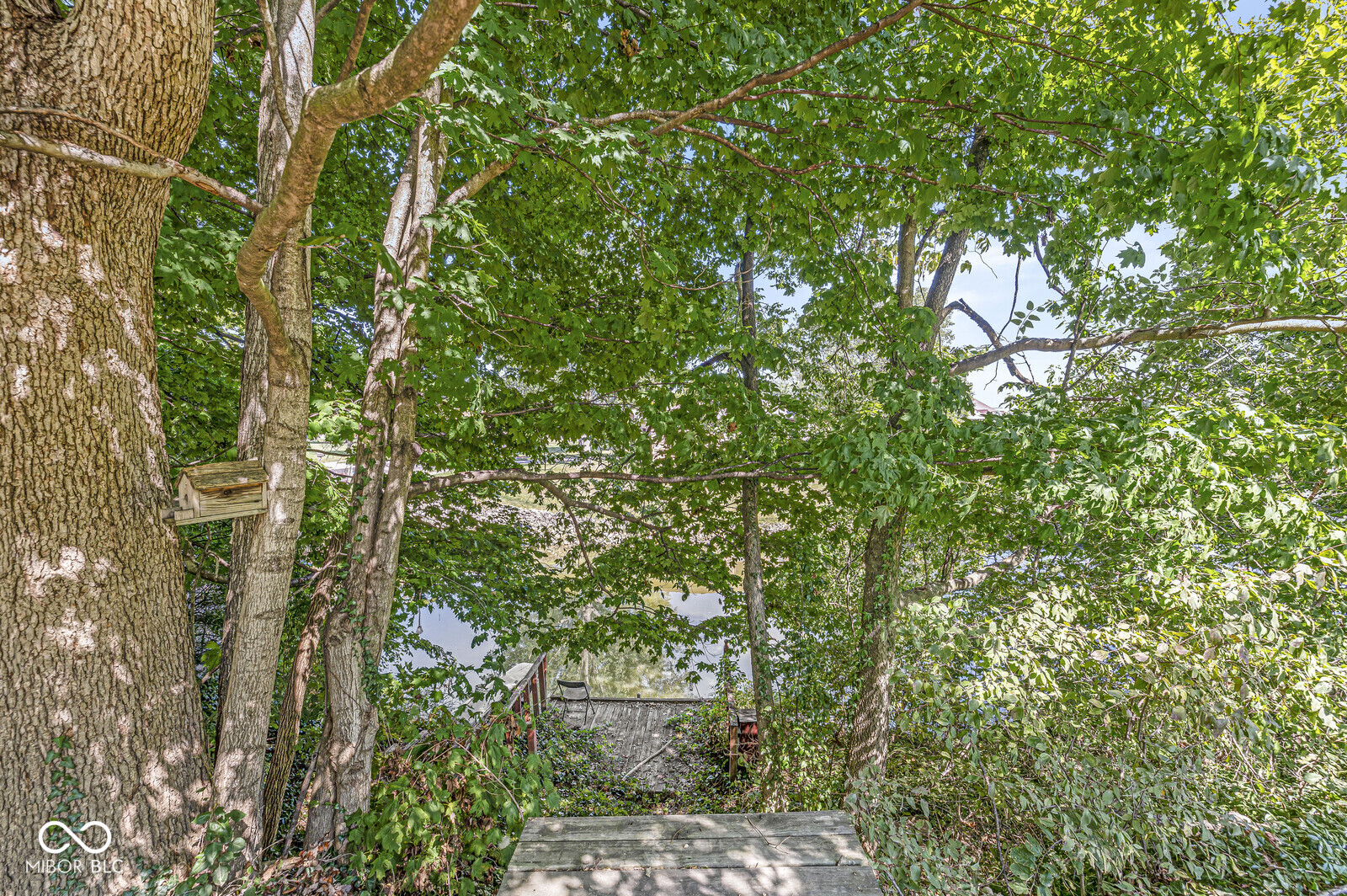 533 Swan Drive
