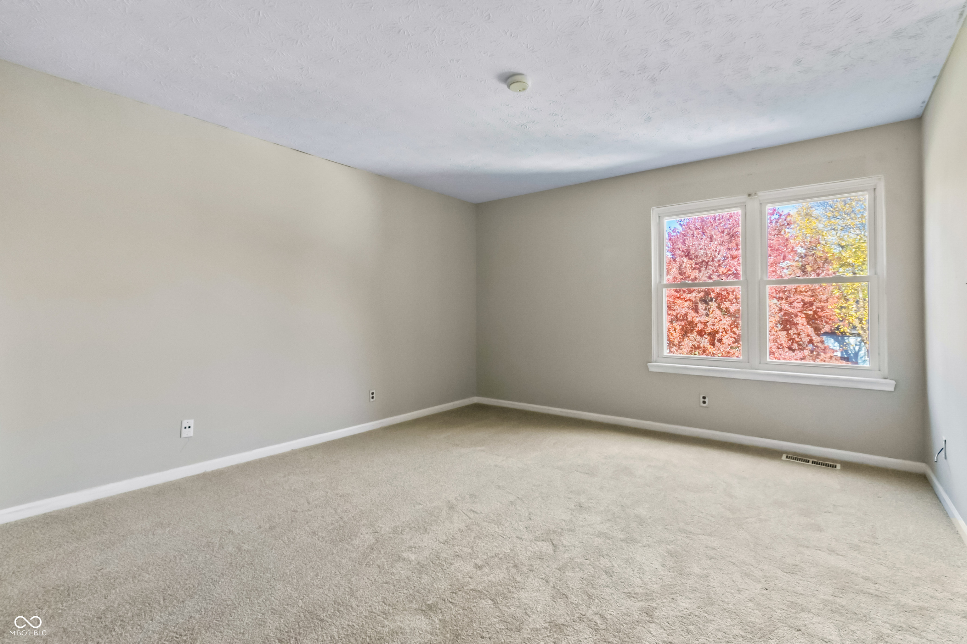 7898 Beanblossom Circle