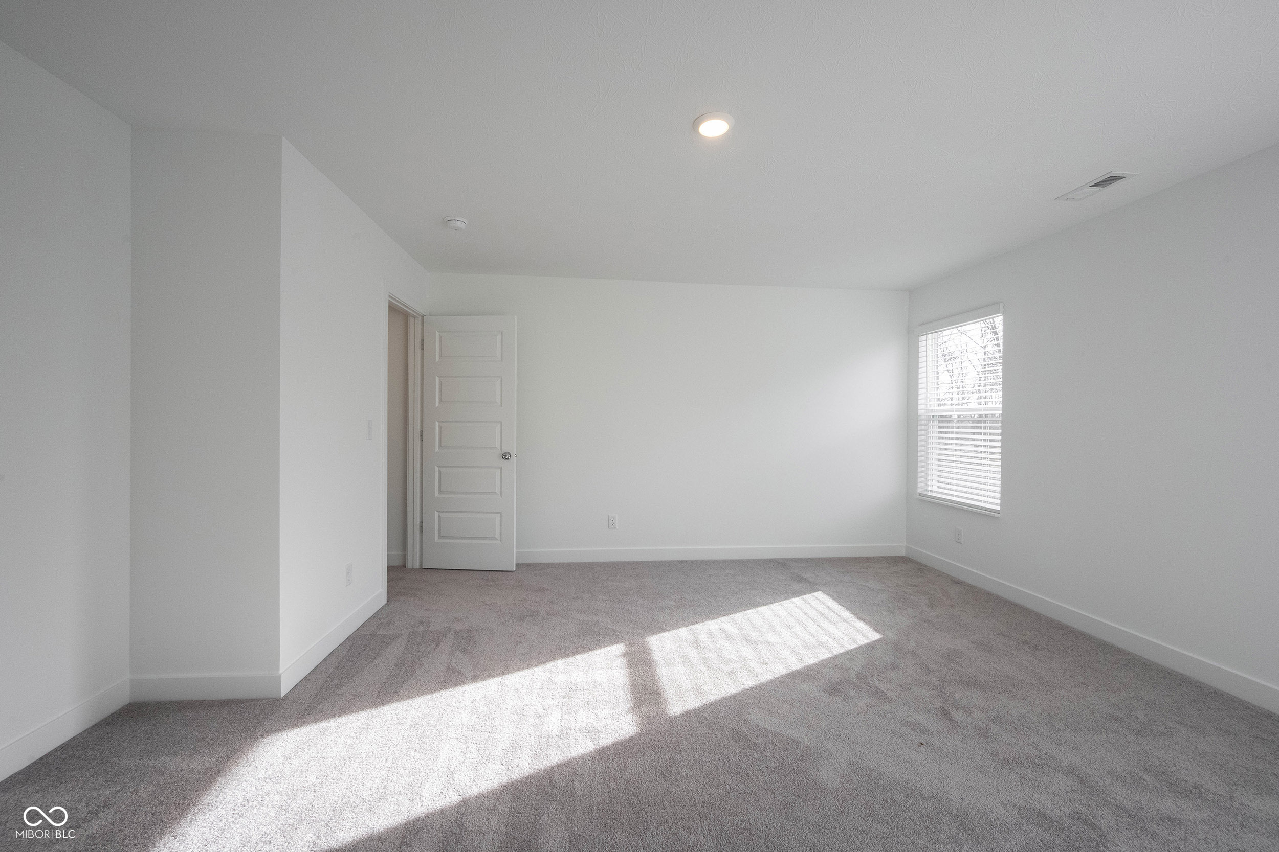 999 Bald Tree Drive