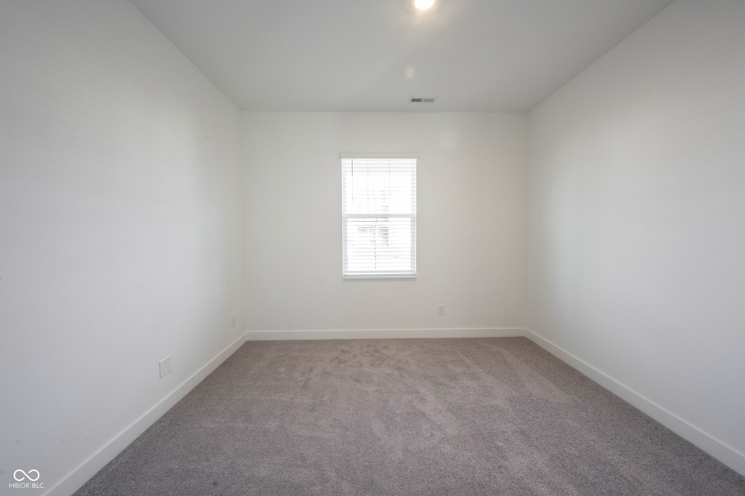 999 Bald Tree Drive