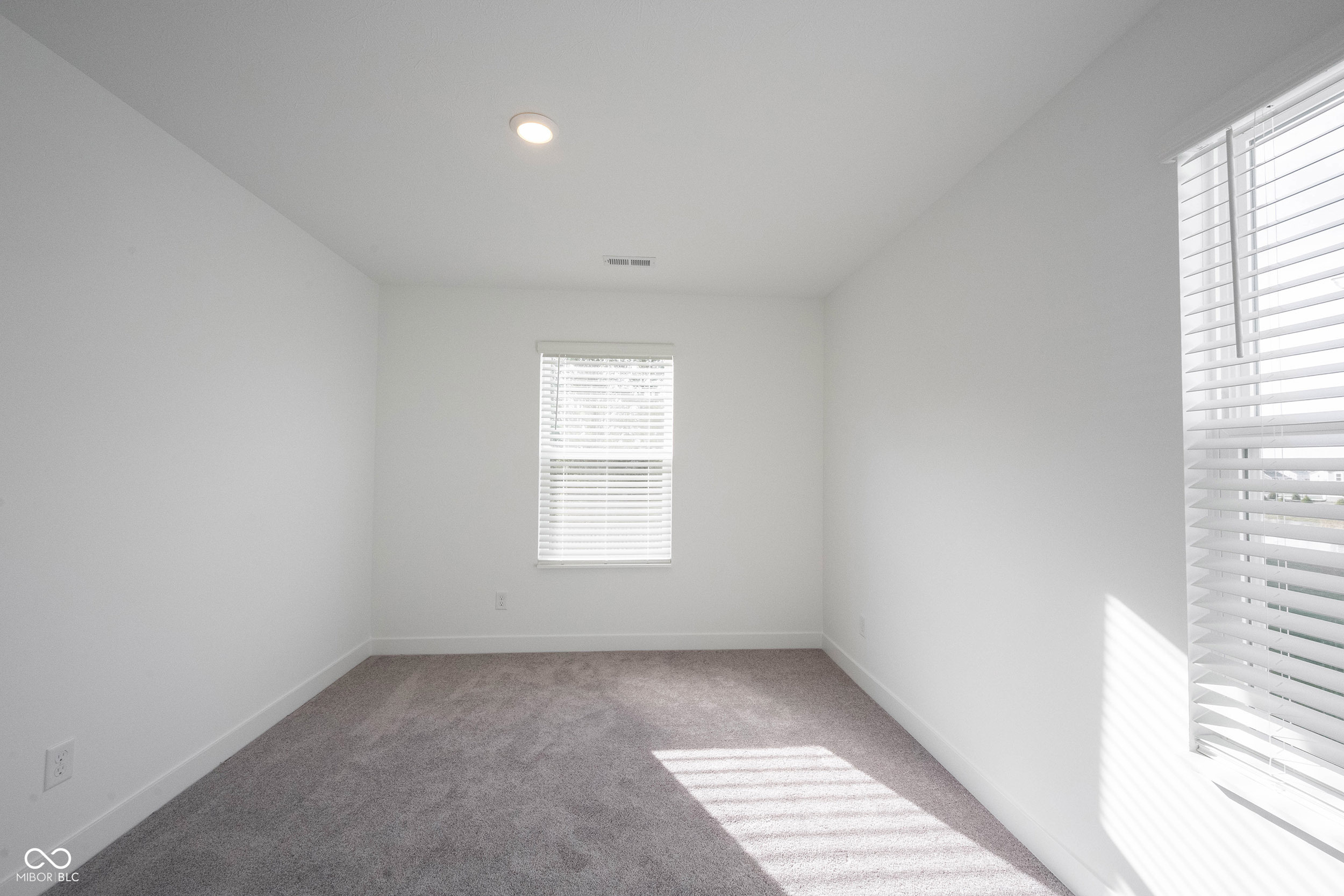 999 Bald Tree Drive