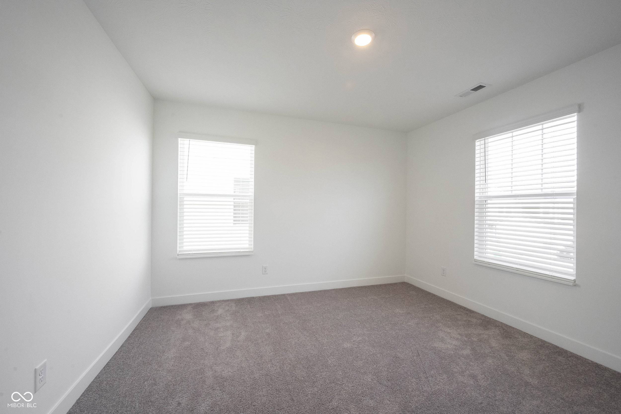 999 Bald Tree Drive