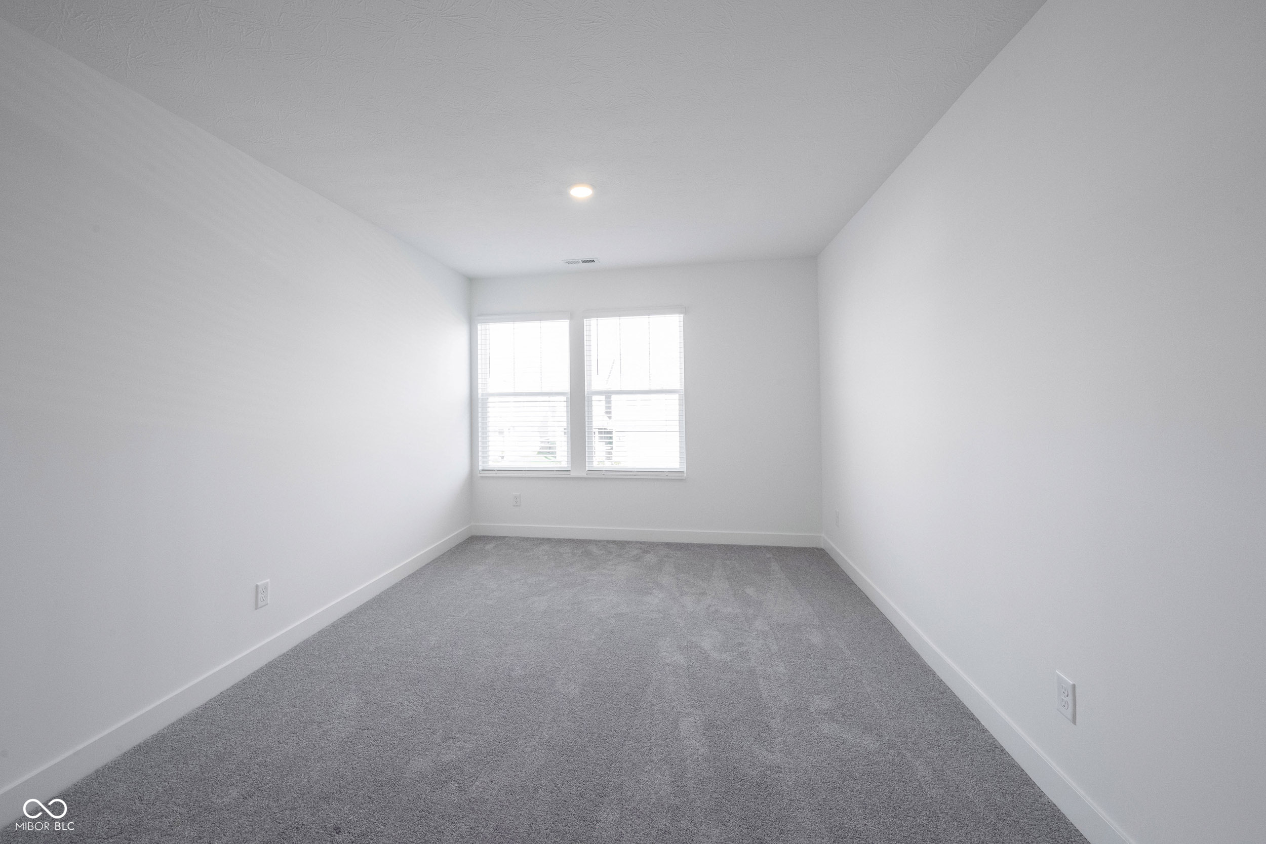 999 Bald Tree Drive