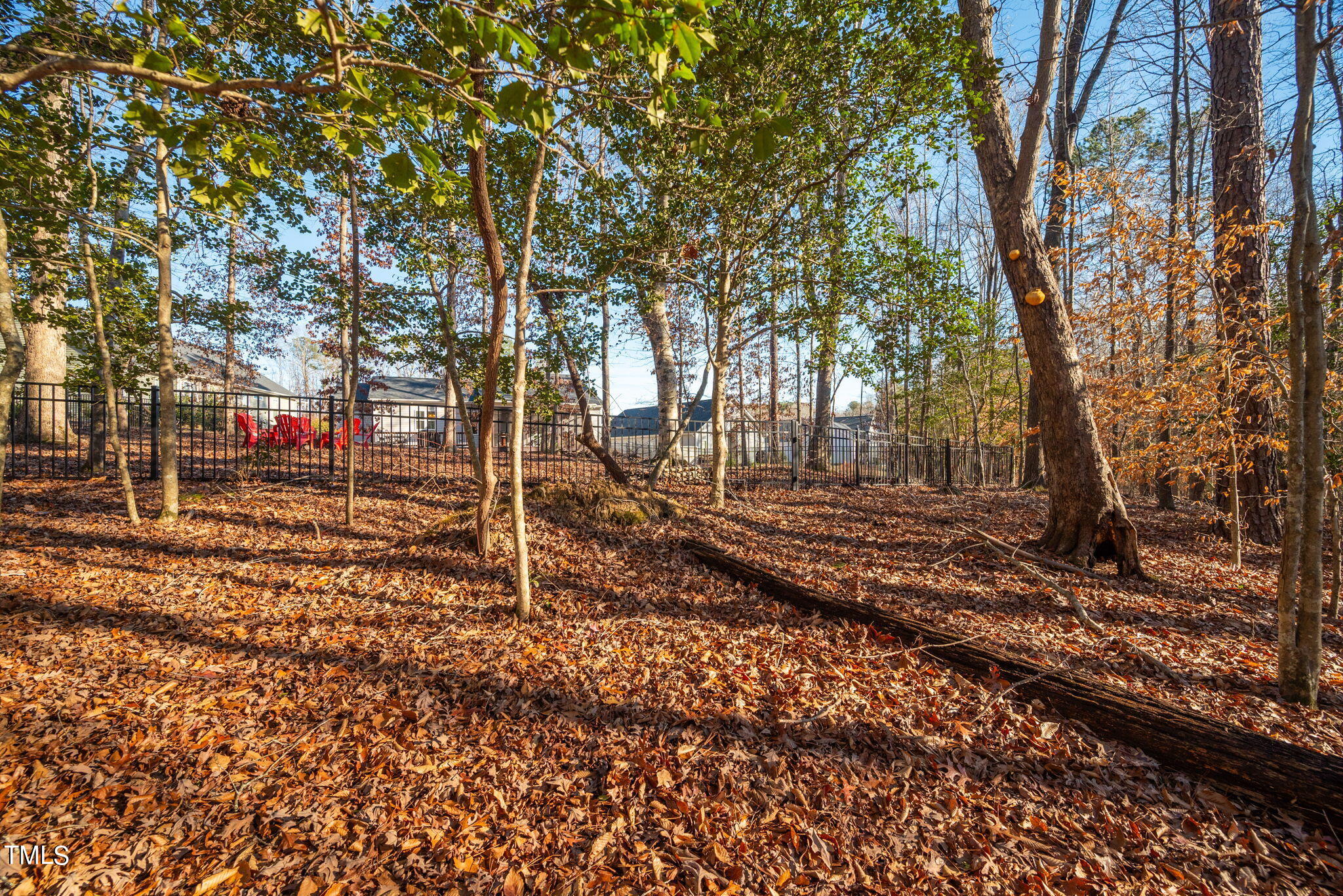 303 Ashley Woods Court