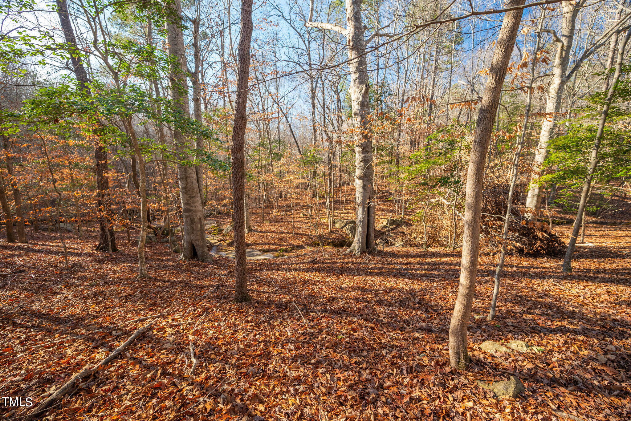 303 Ashley Woods Court